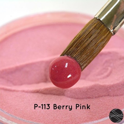 Résine acrylique PRIZMA POWDER Berry pink 45gr #113 TAMMY TAYLOR