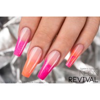 NEON REVIVAL COLLECTION RÉSINE ACRYLIQUE Tammy TAYLOR