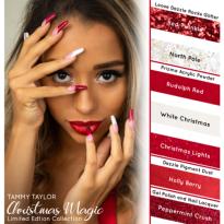 CHRISTMAS MAGIC Collection Limitée Tammy Taylor