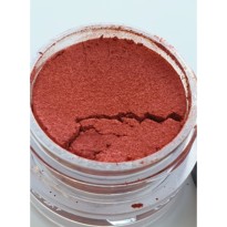 DAZZLING PIGMENTS TAMMY TAYLOR HOLLY BERRY 